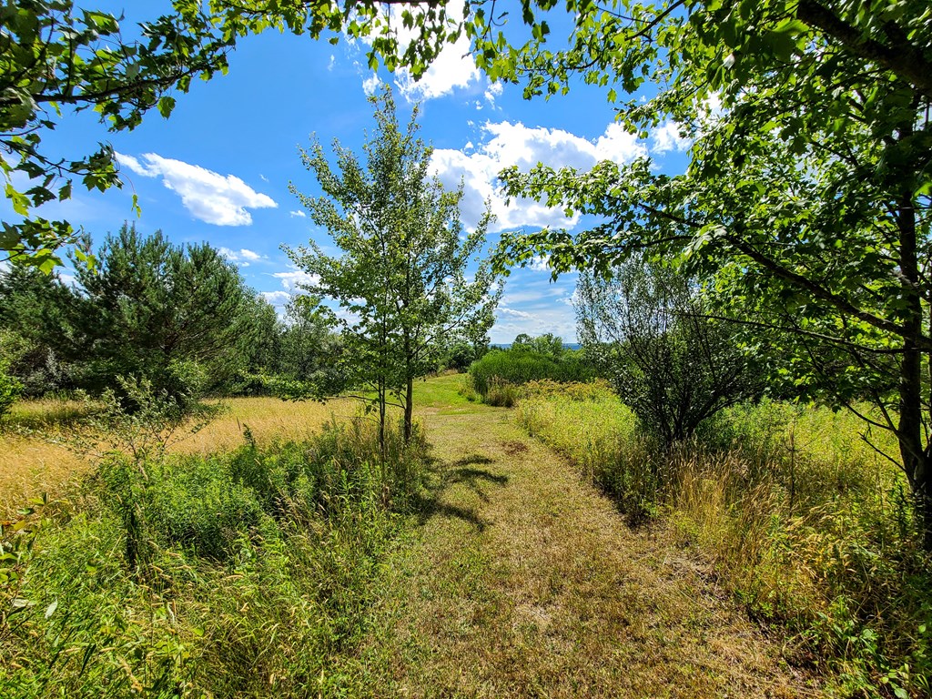 369 Terry Hill Road Veteran, NY 14845 - Photo 15 of 49