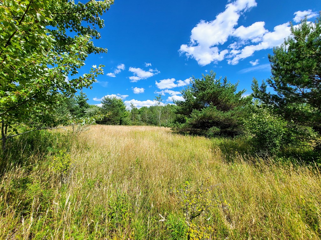 369 Terry Hill Road Veteran, NY 14845 - Photo 4 of 49