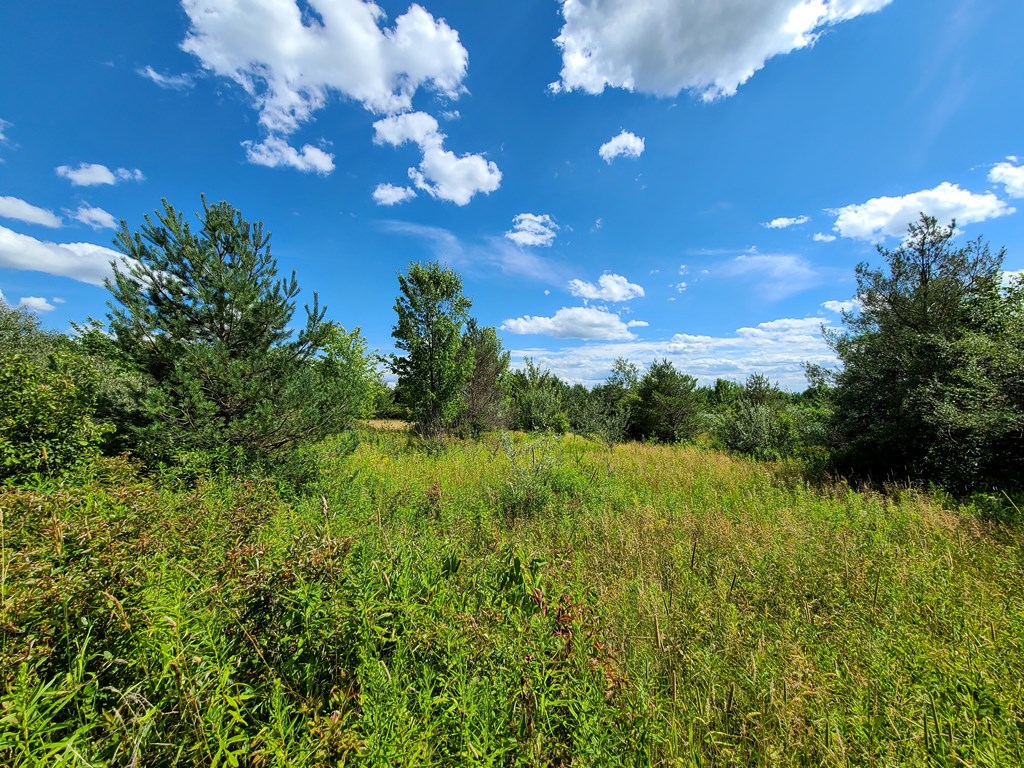 369 Terry Hill Road Veteran, NY 14845 - Photo 42 of 49