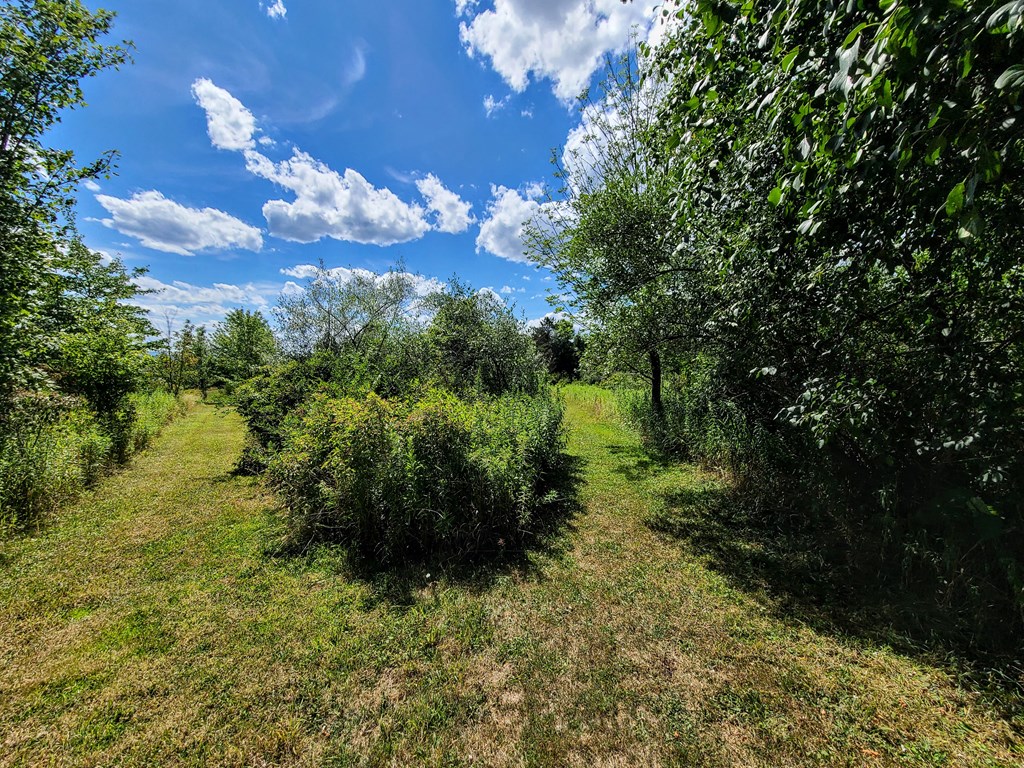 369 Terry Hill Road Veteran, NY 14845 - Photo 43 of 49