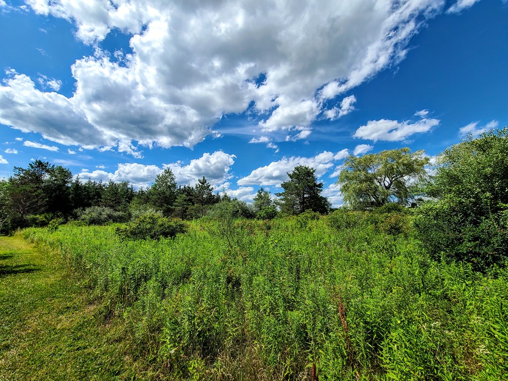 369 Terry Hill Road Veteran, NY 14845 - Photo 49 of 49