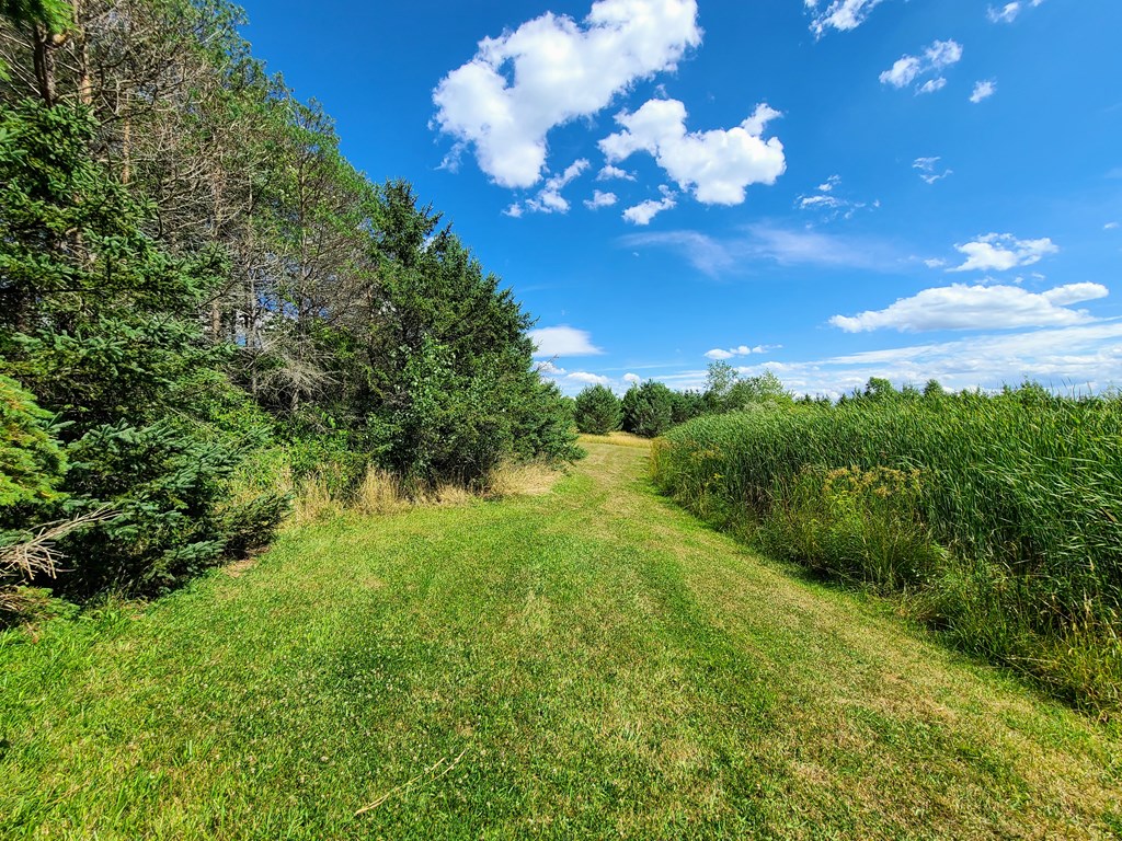 369 Terry Hill Road Veteran, NY 14845 - Photo 9 of 49