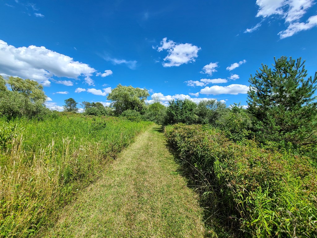 369 Terry Hill Road Veteran, NY 14845 - Photo 10 of 49
