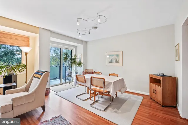a living room with furniture a rug potted plant and a large window