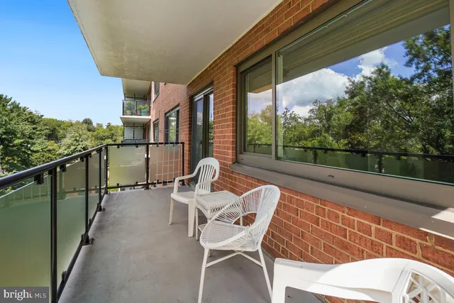 a view of a lake with a forest