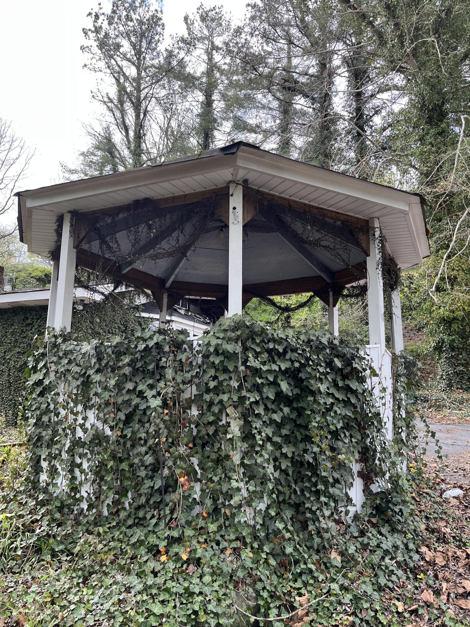 514 Ranier Drive Kingsport, TN 37663 - Photo 5 of 9 Rainer Outside 1