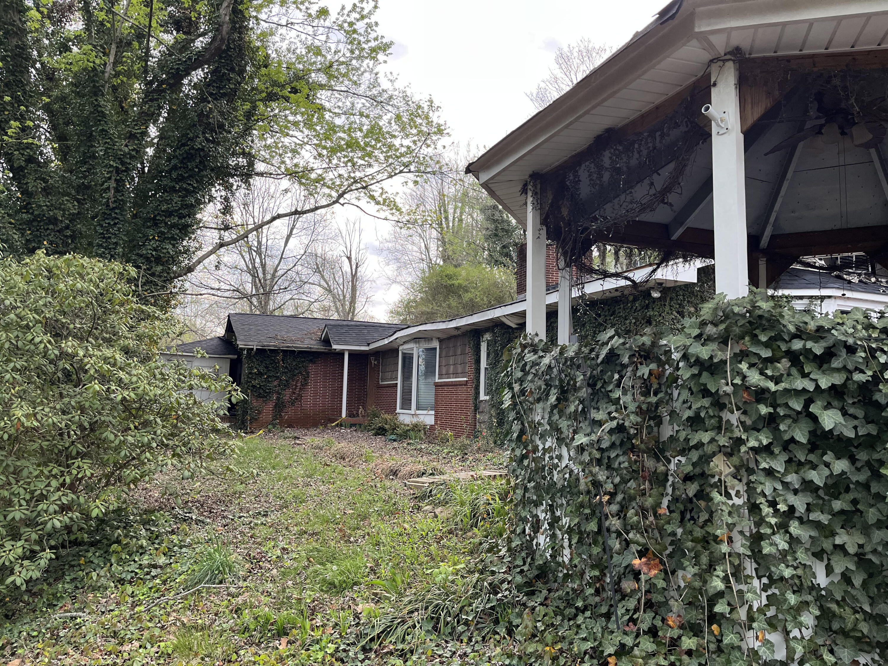 514 Ranier Drive Kingsport, TN 37663 - Photo 6 of 9 Rainer Primary 2