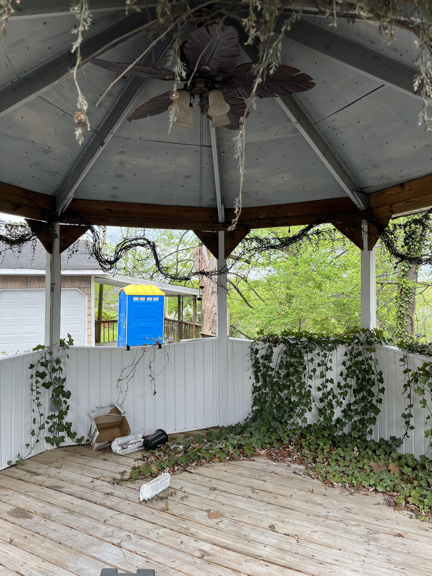 514 Ranier Drive Kingsport, TN 37663 - Photo 8 of 9 Rainer Primary 5