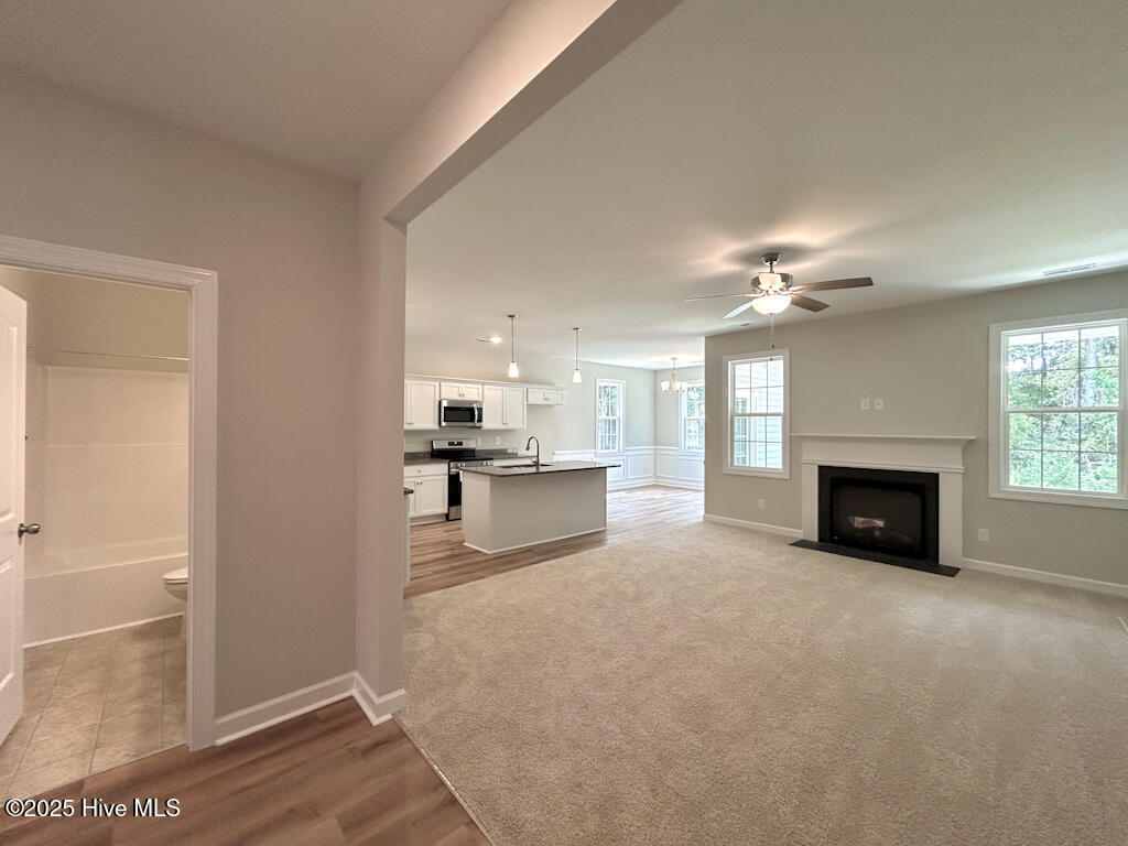 252 Browns Ferry Road Jacksonville, NC 28546 - Photo 17 of 56 IMG-1633-jpg