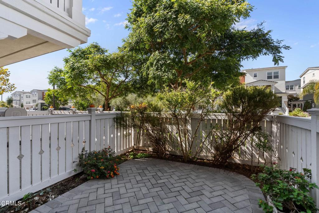 3705 Islander Walk Oxnard, CA 93035 - Photo 35 of 45 a view of backyard with potted plants and large tree