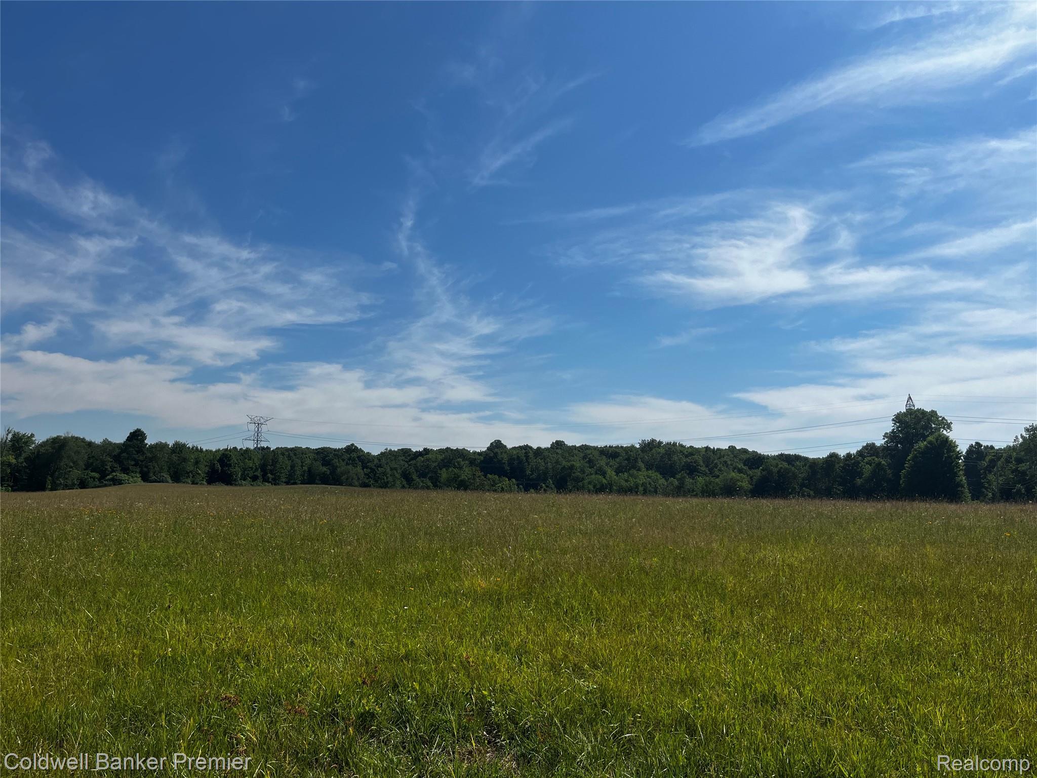 0 East Leonard Road Leonard, MI 48367 - Photo 10 of 11 looking east.jpeg