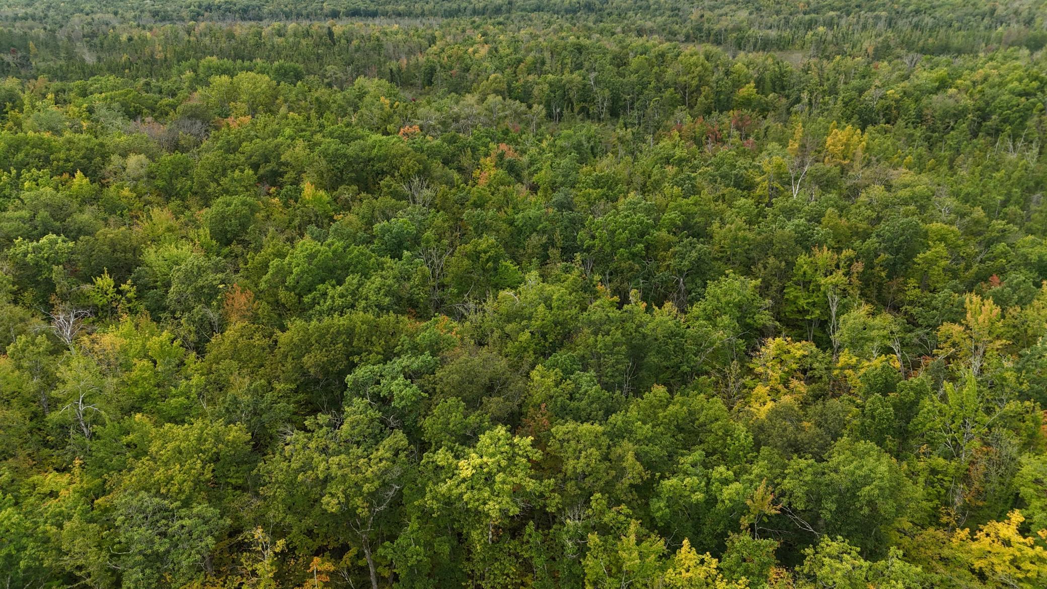 57919 Hay Creek Road Sandstone, MN 55072 - Photo 31 of 48