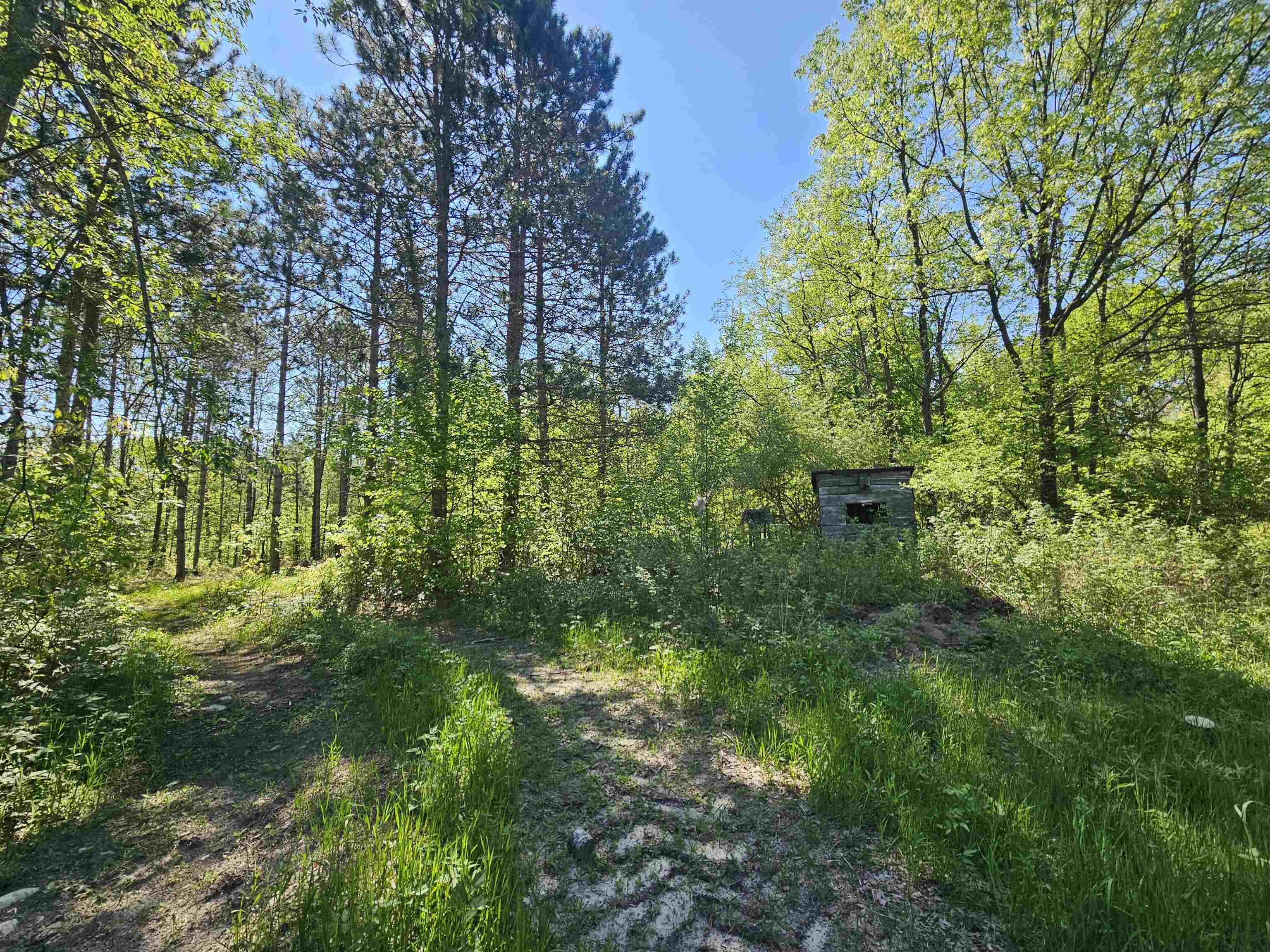 5350 East Cranberry Lake Road Harrison, MI 48625 - Photo 7 of 23