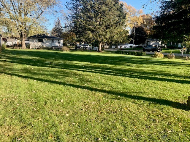 a garden view with a trees