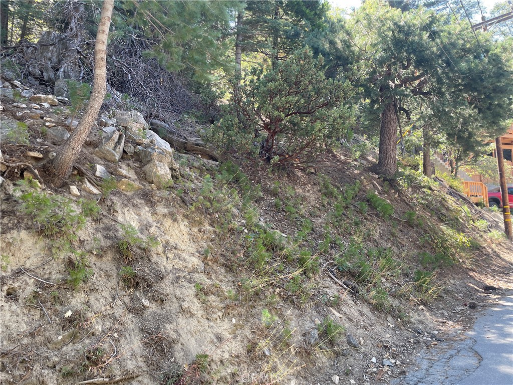 28 Lot 28 Forest Lane Twin Peaks, CA 92391 - Photo 5 of 6 a view of a forest with trees in the background