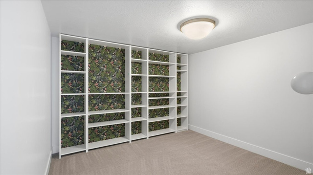 2038 East Ranch Road Eagle Mountain, UT 84005 - Photo 38 of 66 Built-in shelving unit with botanical-patterned backing, wall-to-wall carpeting, white painted walls, and a ceiling-mounted light fixture