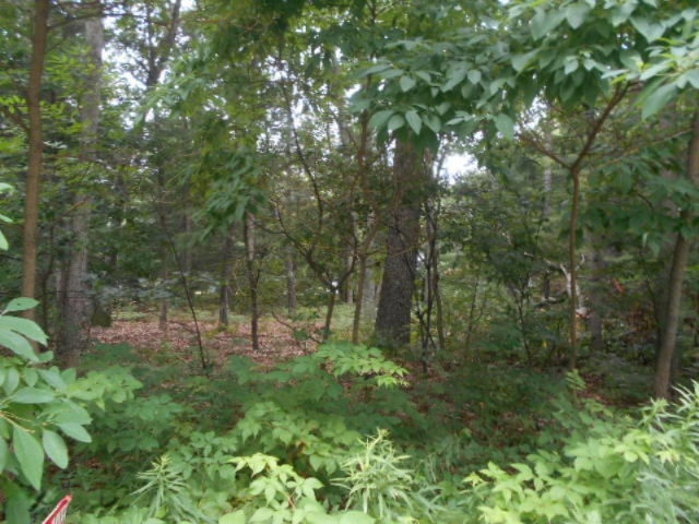 DSCN7065