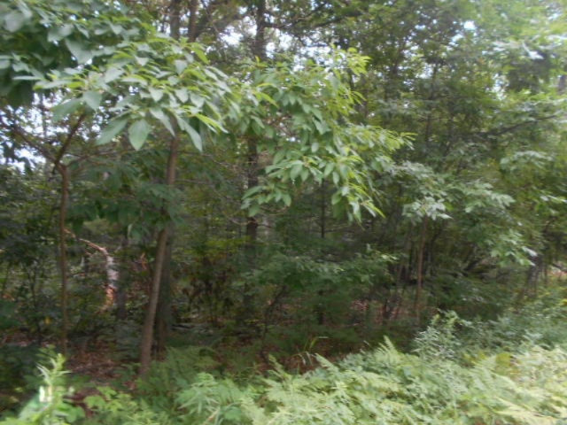 DSCN7066