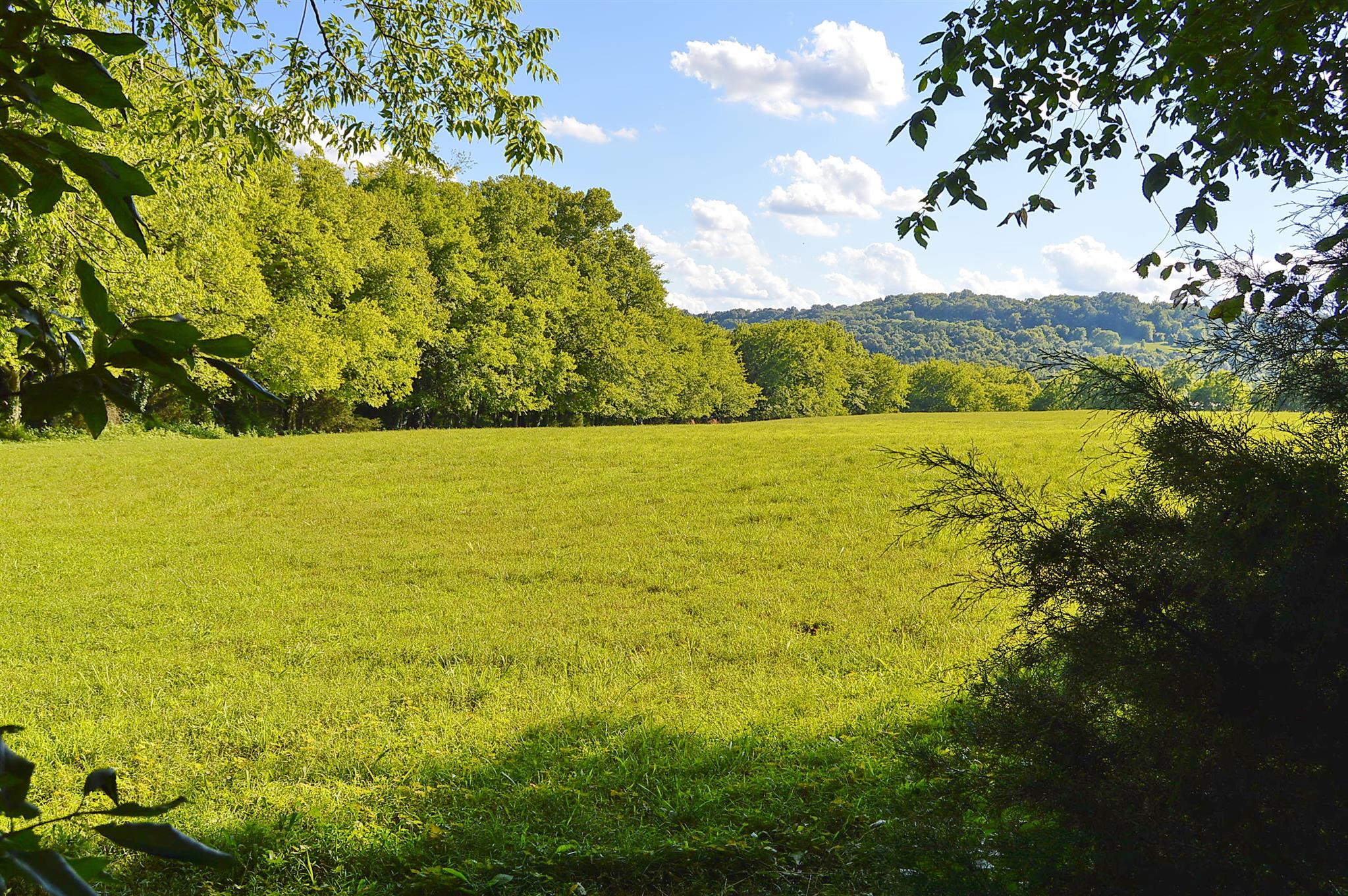 0 Clark Road Cornersville, TN 37047 - Photo 11 of 17 a view of an ocean from a yard