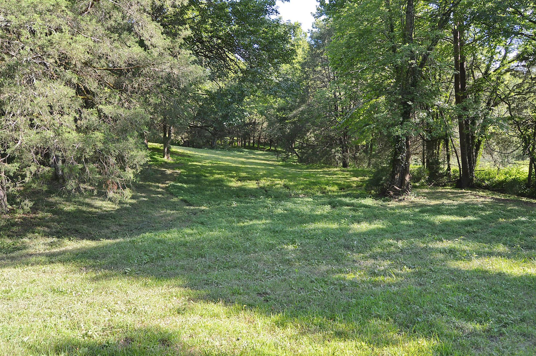 0 Clark Road Cornersville, TN 37047 - Photo 3 of 17 a view of outdoor space with deck and yard