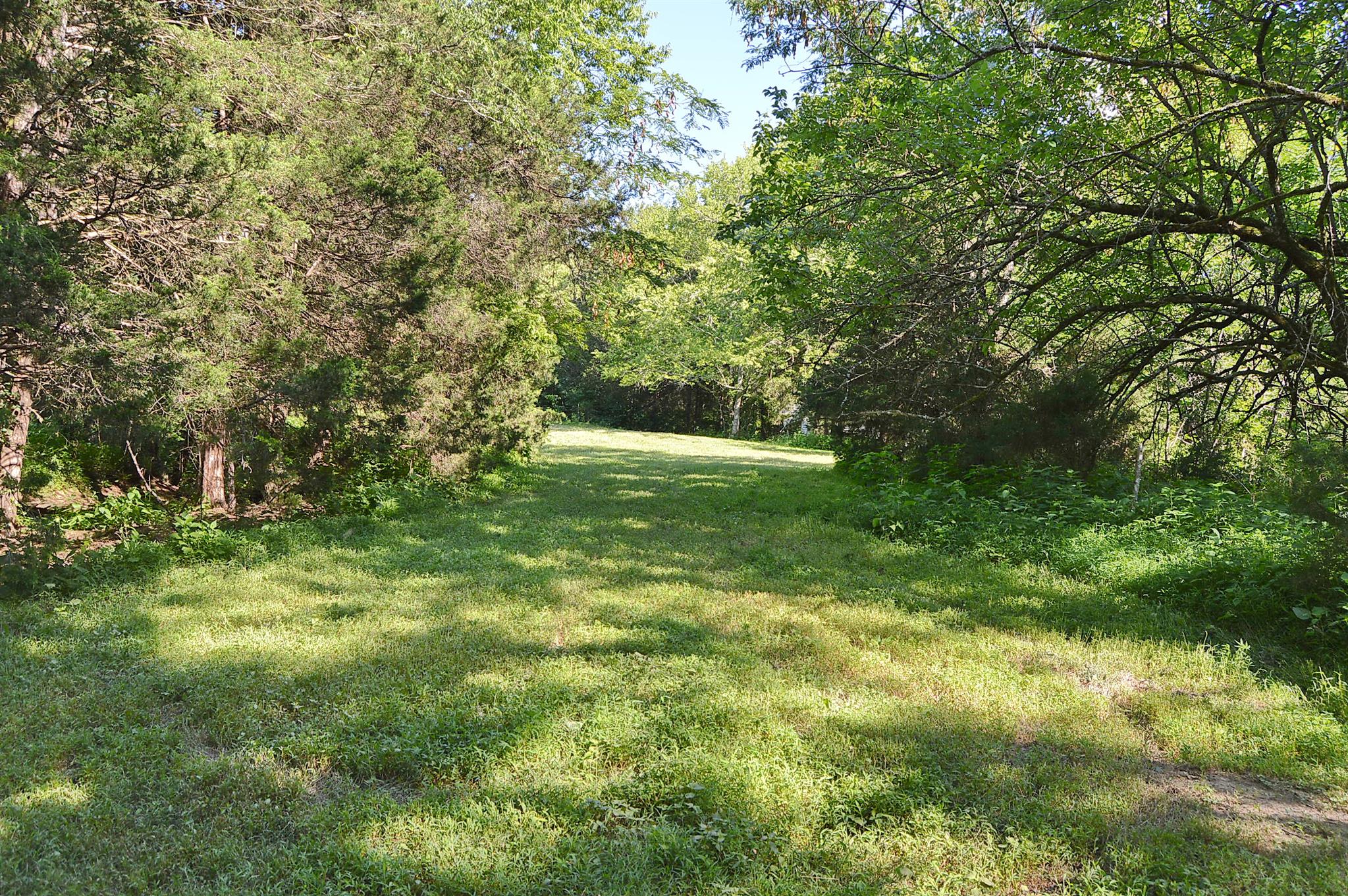 0 Clark Road Cornersville, TN 37047 - Photo 5 of 17 a view of outdoor space and yard