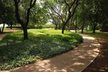 3942 Sugar Tree Way Addison, TX 75001 - Photo 31 of 31 a view of green field