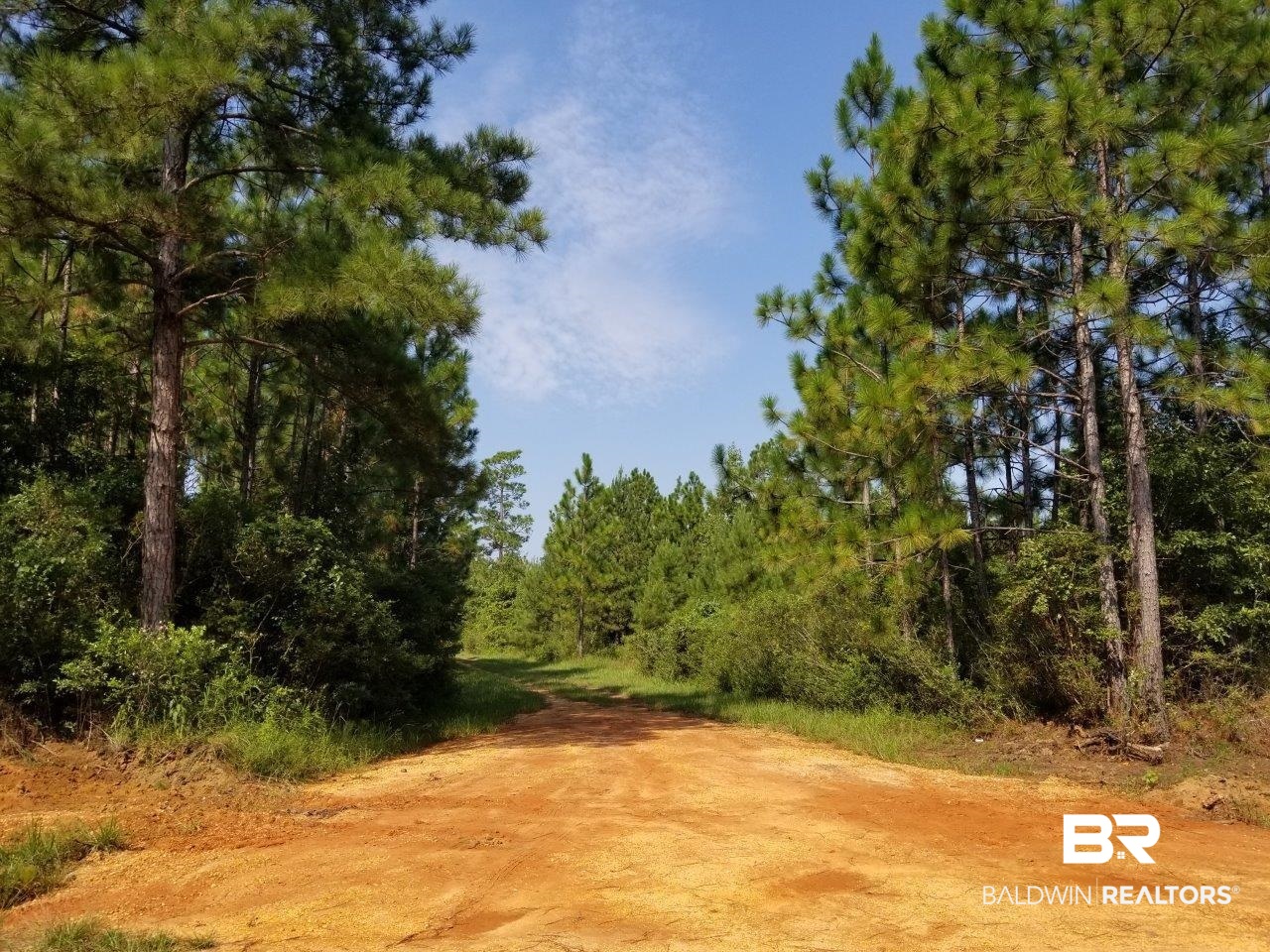 0 Jerkins Loop Atmore, AL 36502 - Photo 29 of 50