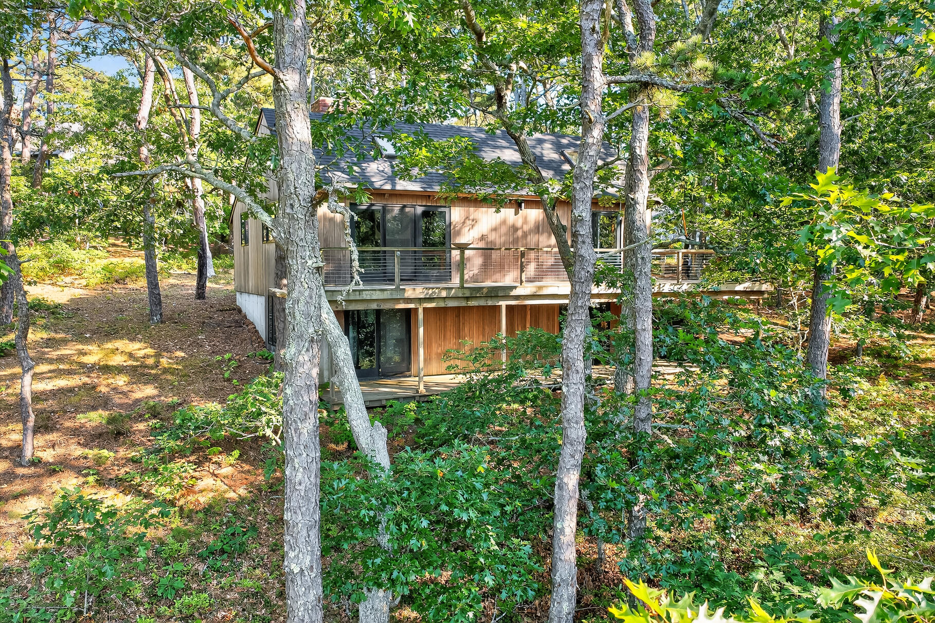 90 Blue Heron Road Wellfleet, MA 02667 - Photo 6 of 54 Rear with trees
