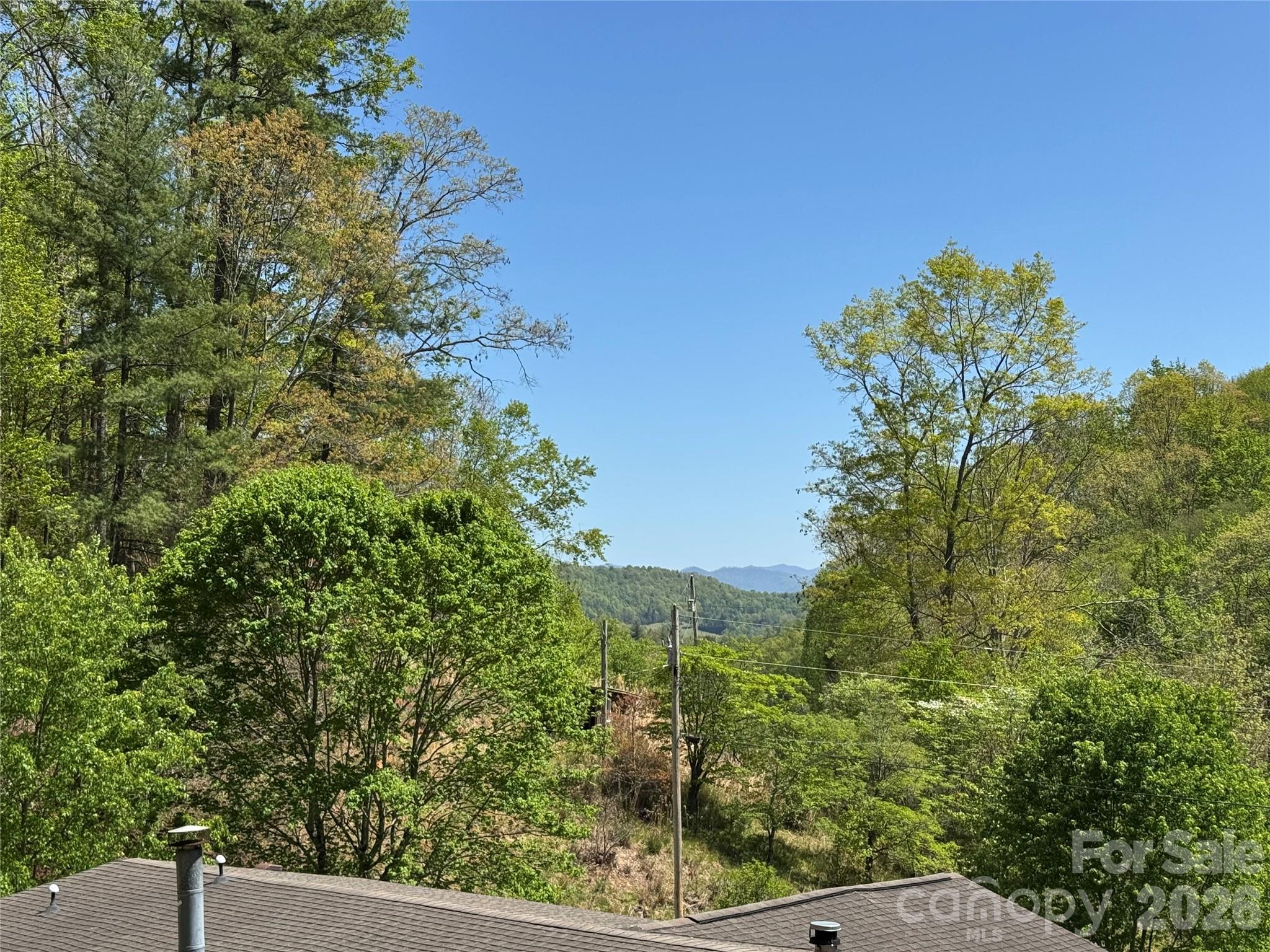 942 Fisher Branch Road Marshall, NC 28753 - Photo 27 of 38 a view of a yard