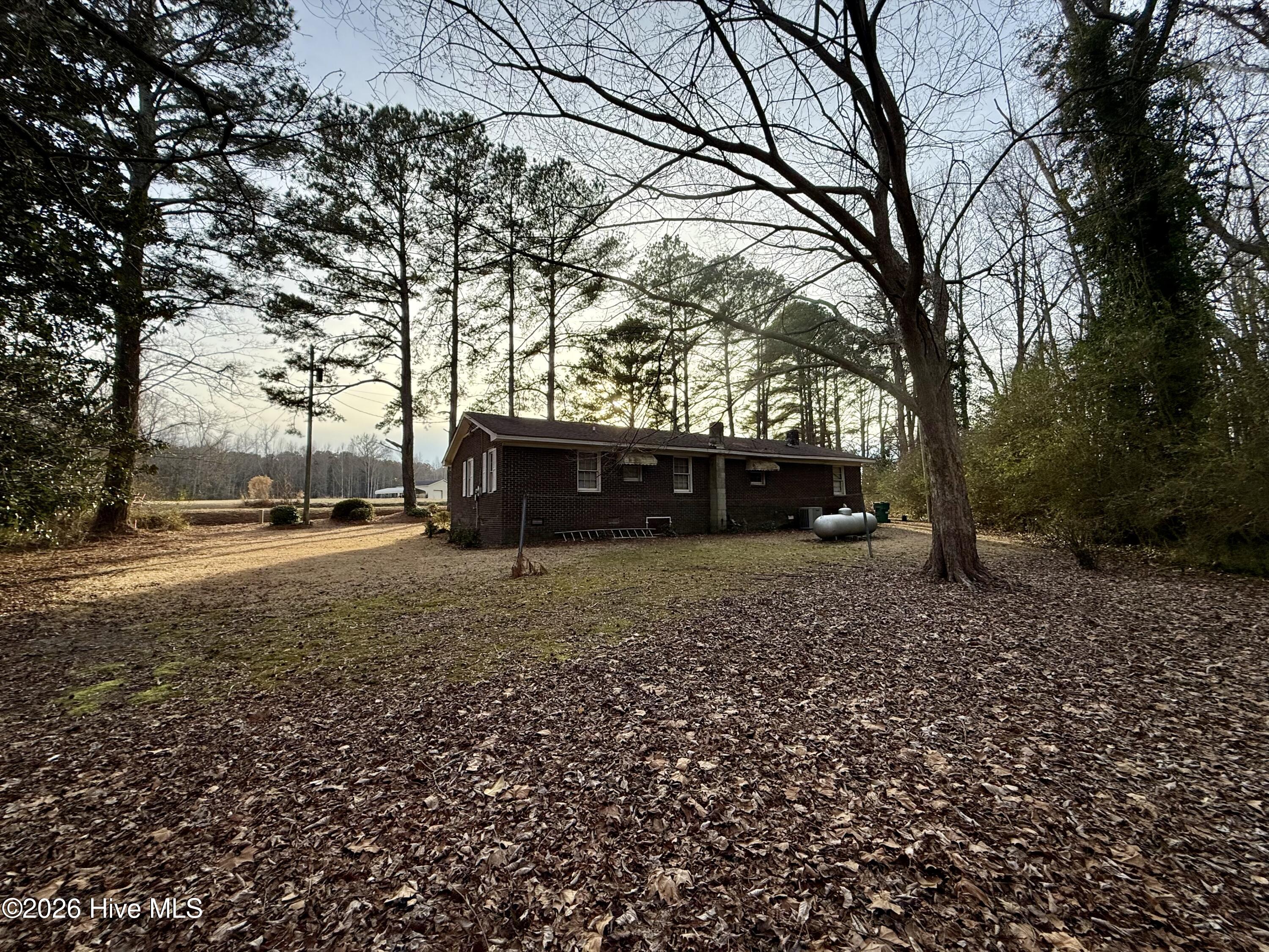 1420 Lum Brown Road Williamston, NC 27892 - Photo 9 of 47 Back side of property