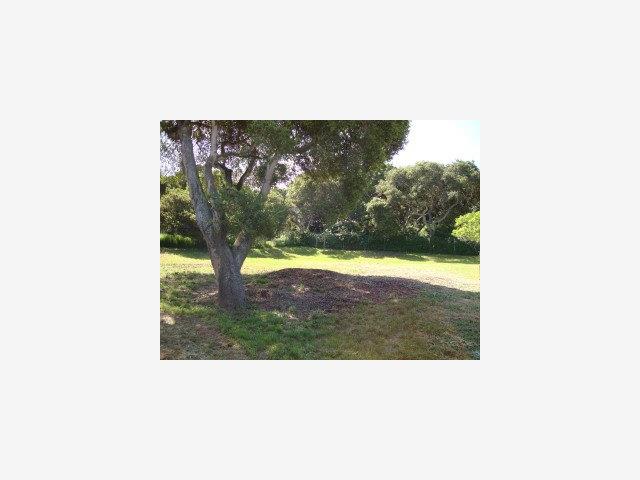 16540 Meridian Road Salinas, CA 93907 - Photo 3 of 9 Gallery Image 3