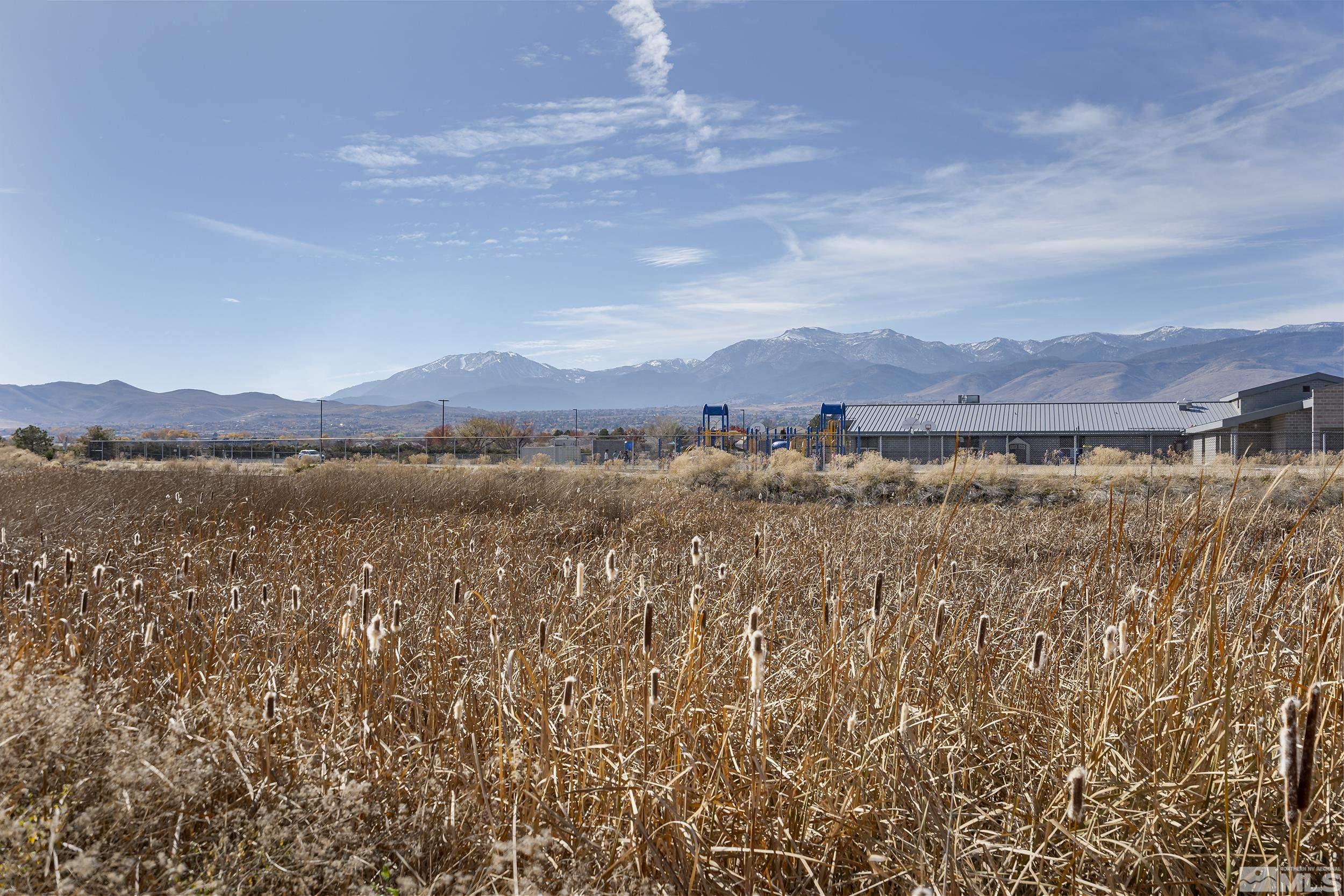 1575 Wyatt Court Reno, NV 89521 - Photo 28 of 40 a view of lake with mountain