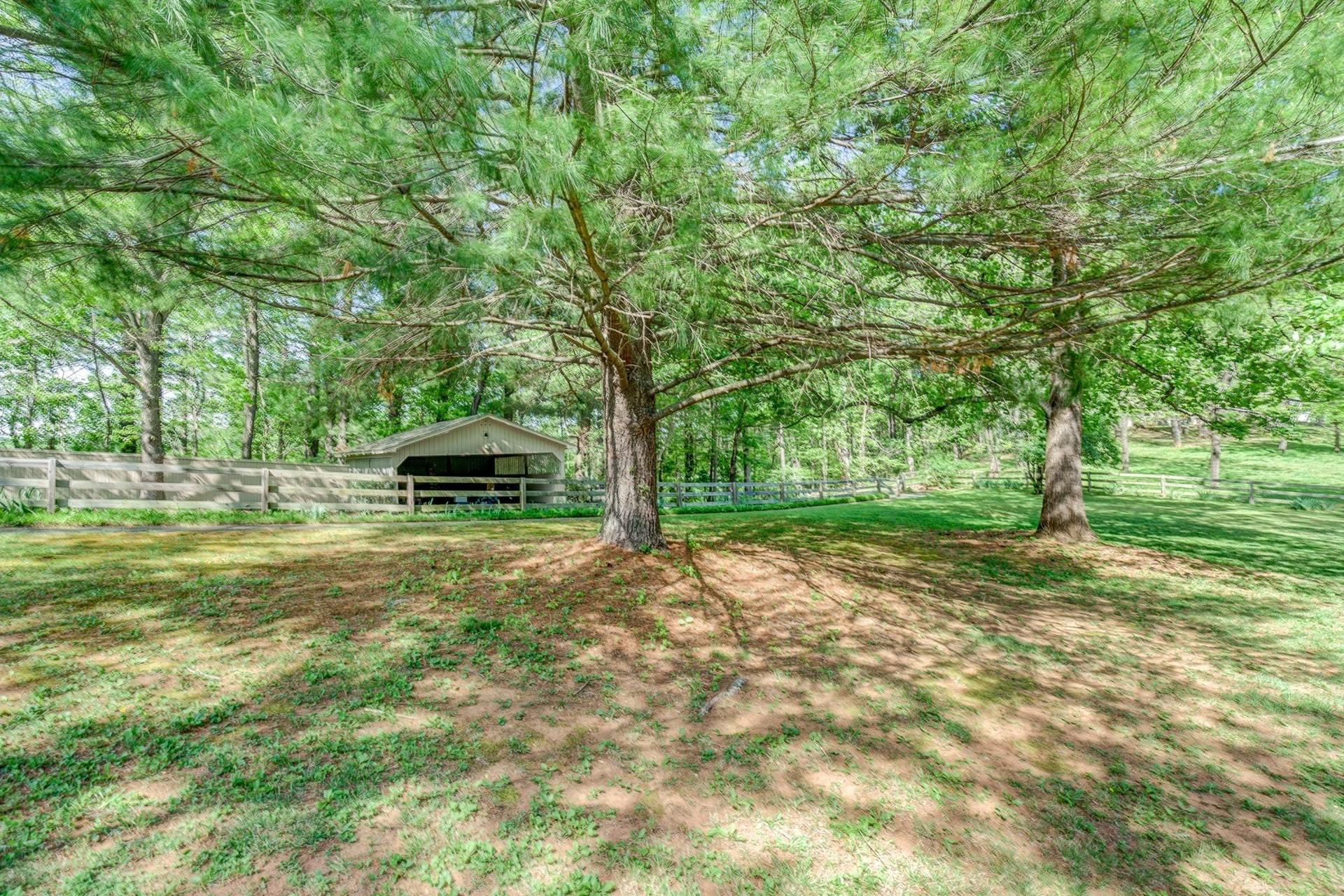 6024 Poage Valley Road Roanoke, VA 24018 - Photo 38 of 43 039-310735-6024 Poage Valley Road 39_766