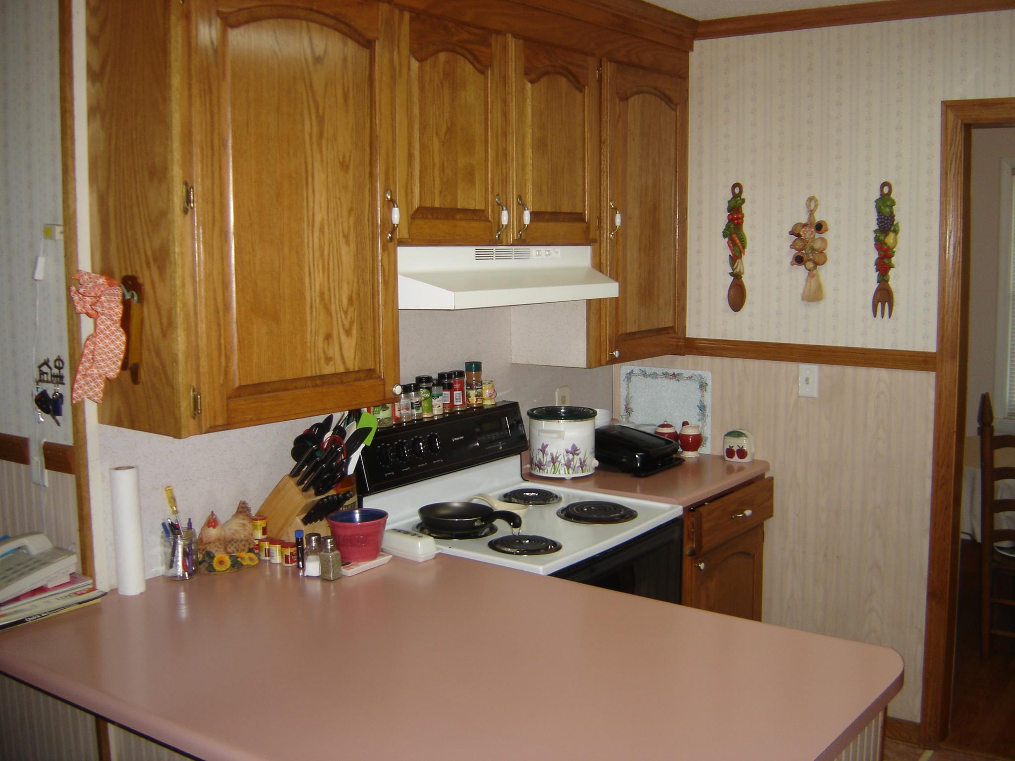 102 Aldridge Road Leoma, TN 38468 - Photo 14 of 30 Gallery Image 14