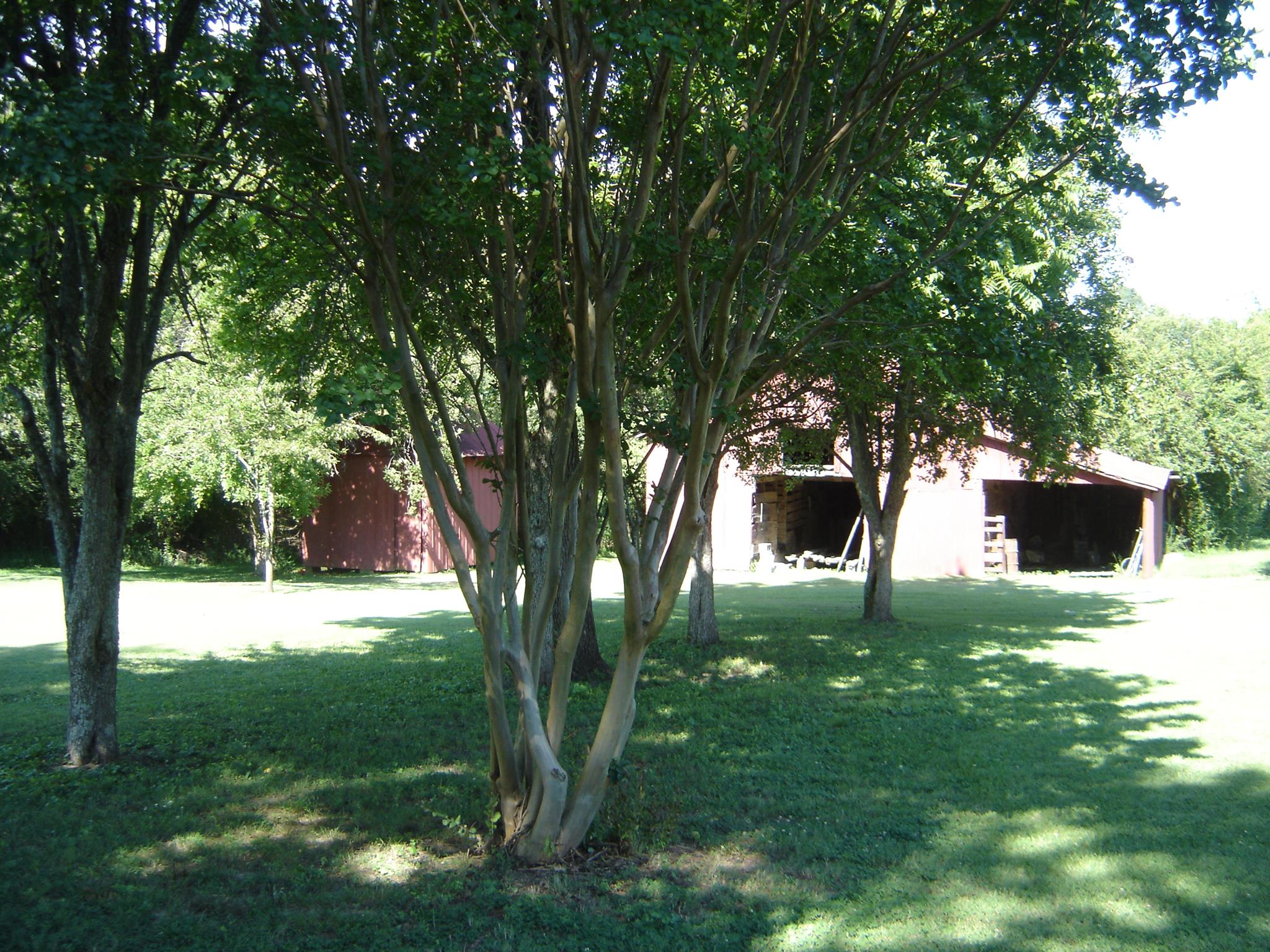 102 Aldridge Road Leoma, TN 38468 - Photo 4 of 30 Gallery Image 4