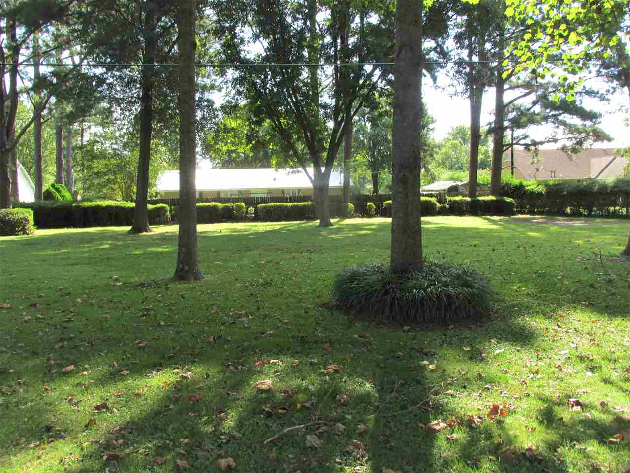 210 Stevens Road Bolivar, TN 38008 - Photo 6 of 22 Gallery Image 6