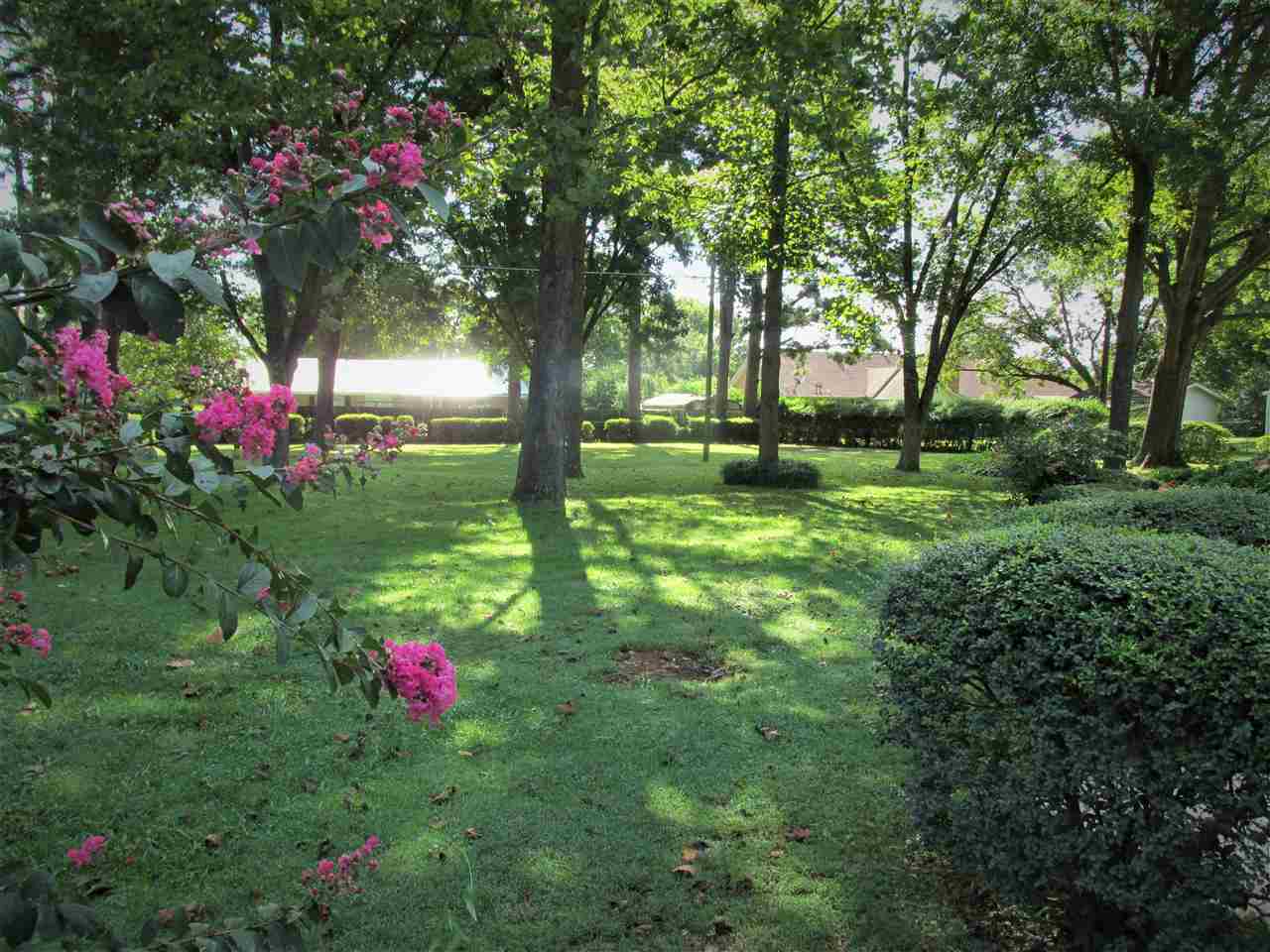 210 Stevens Road Bolivar, TN 38008 - Photo 7 of 22 Gallery Image 7