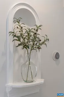 a picture of a glass door with a plant
