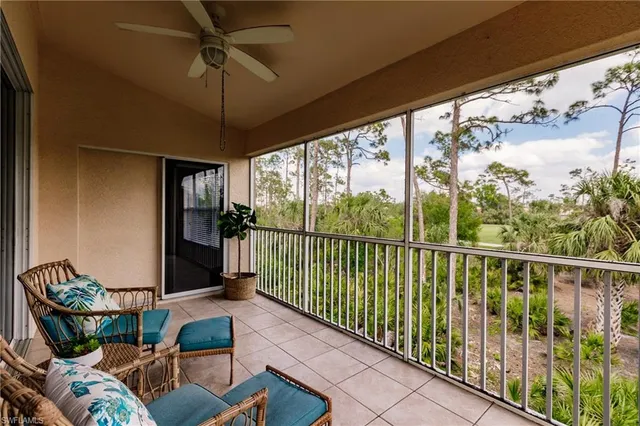 a balcony view with a potted plant