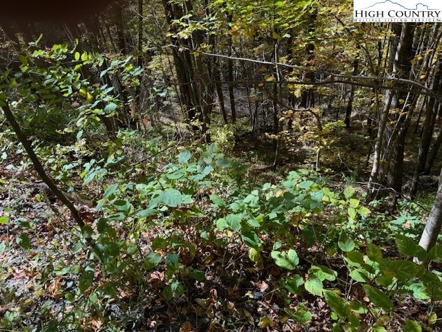 Lot 677 Three Top Trailhead Acc Road Creston, NC 28615 - Photo 2 of 6 Gallery Image 2