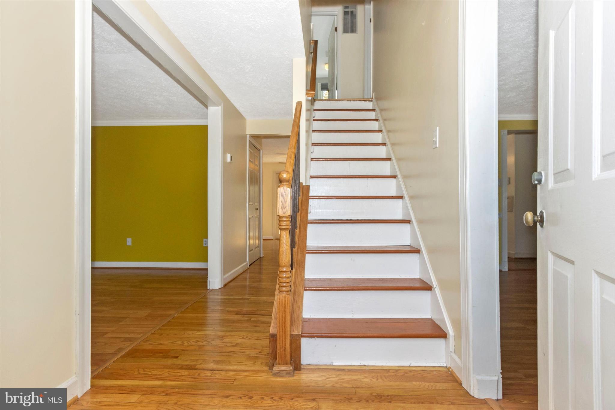 1301 Silo Way Silver Spring, MD 20905 - Photo 3 of 52 Main Level Hallway
