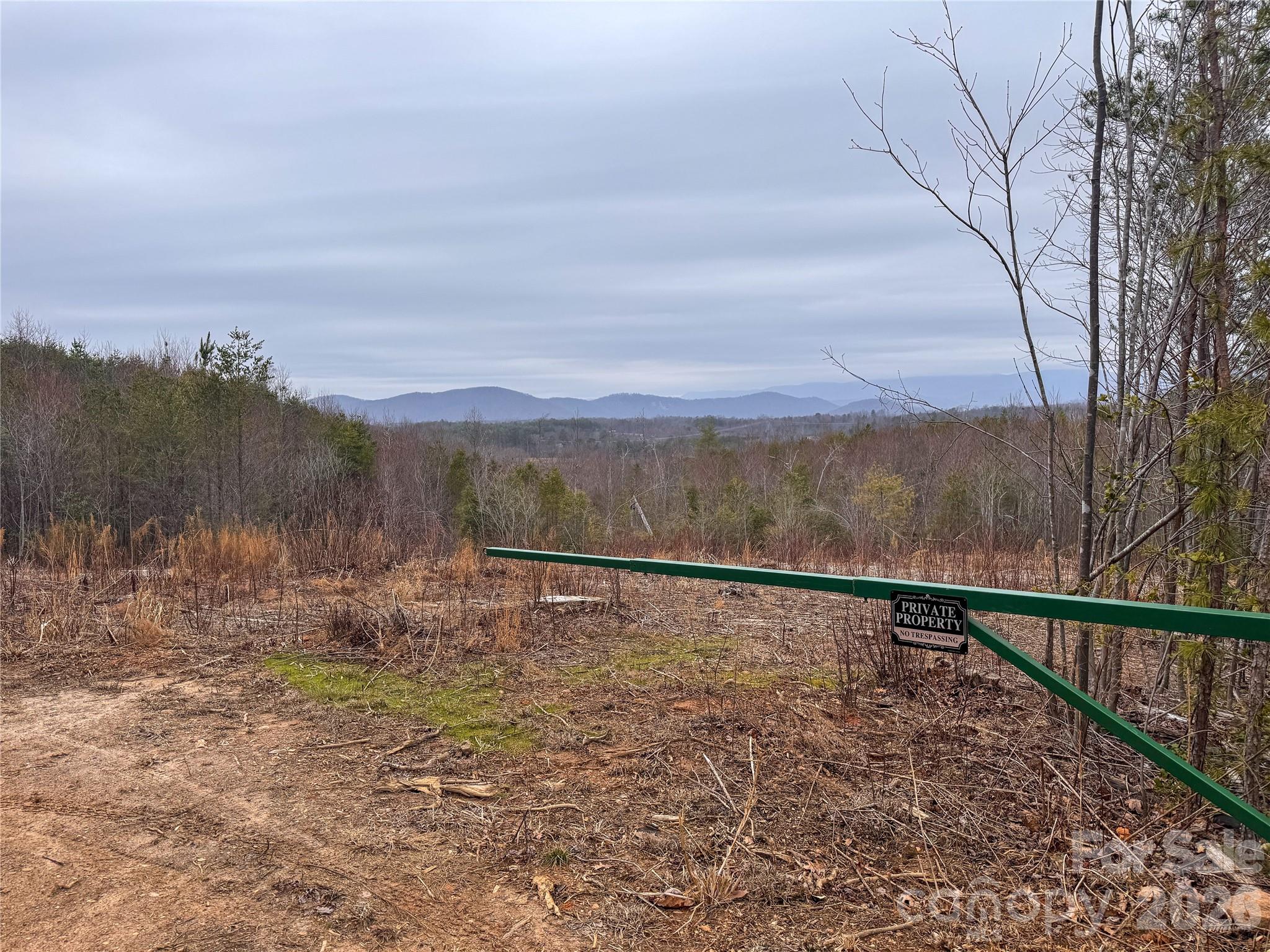 0 Baugess Mill Road Traphill, NC 28685 - Photo 5 of 29