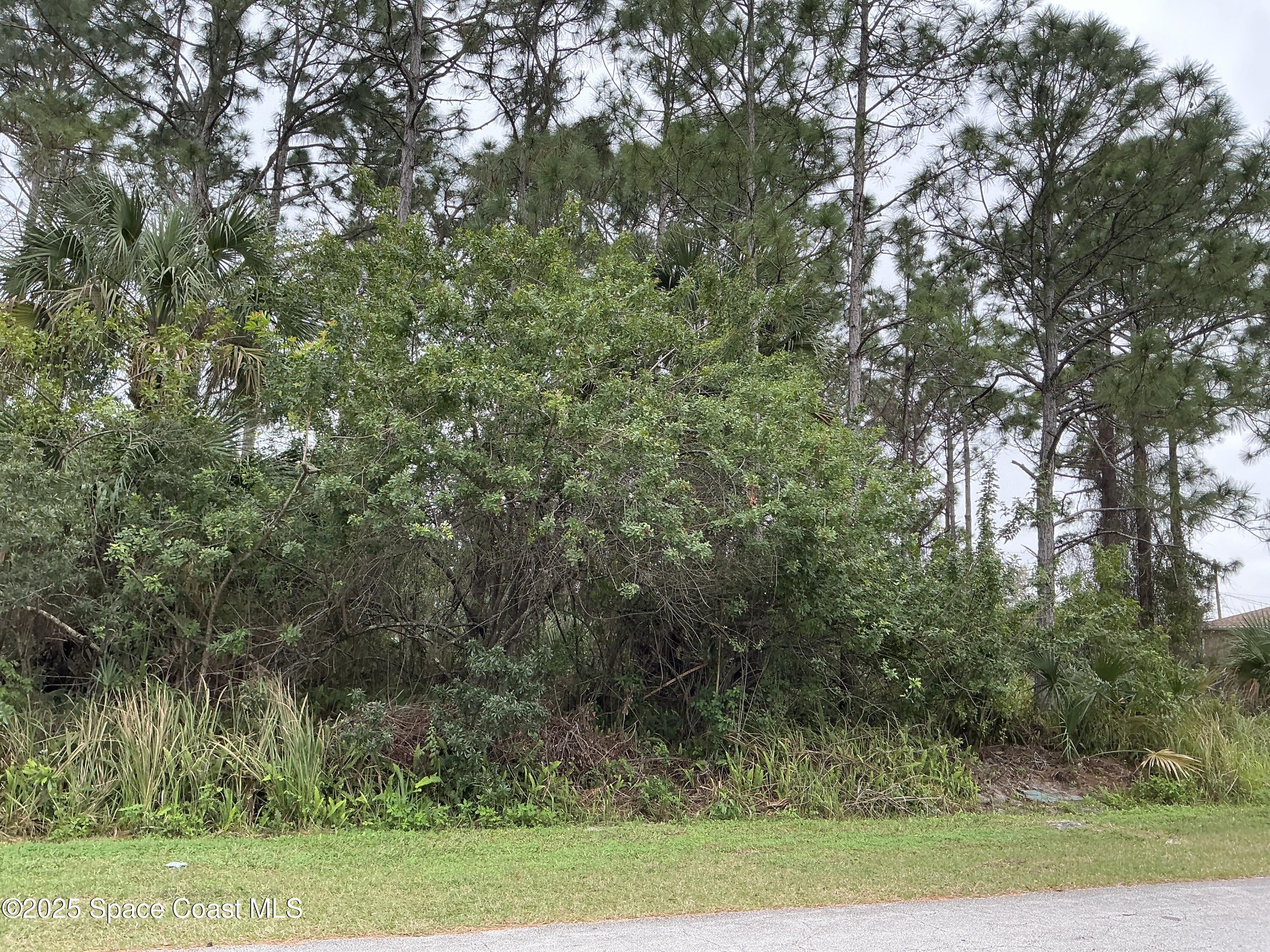 438 Awin Circle Southeast Palm Bay, FL 32909 - Photo 3 of 5 IMG_2777