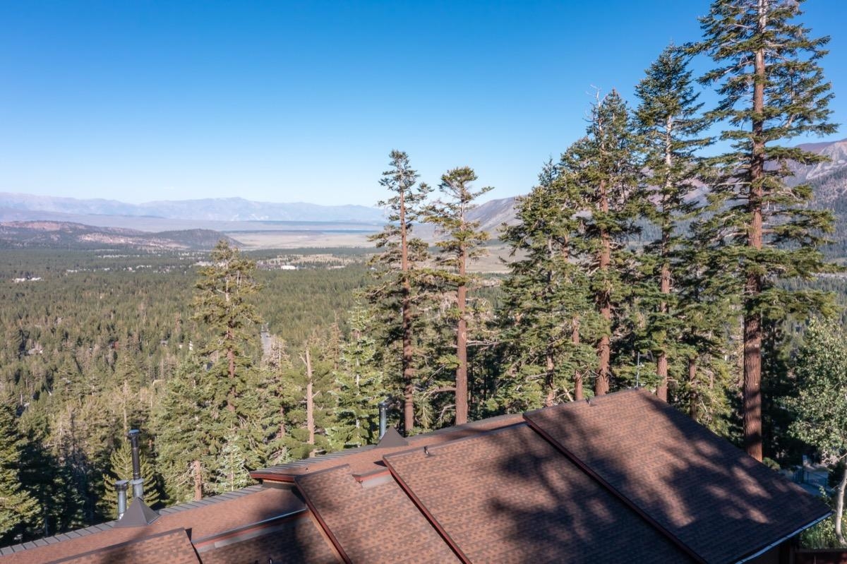 670 John Muir Road, Unit 1 Mammoth Lakes, CA 93546 - Photo 46 of 50 Mountain view with a heavily wooded area