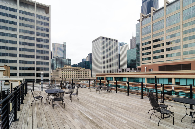 420 South Clinton Street, Unit 516 Chicago, IL 60607 - Photo 13 of 13