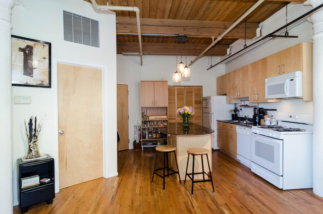 420 South Clinton Street, Unit 516 Chicago, IL 60607 - Photo 4 of 13