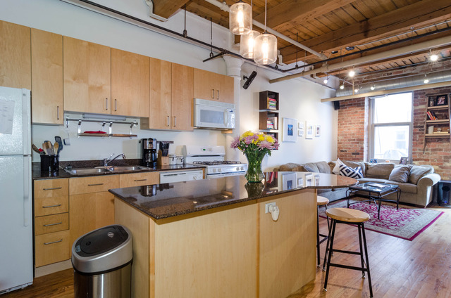 420 South Clinton Street, Unit 516 Chicago, IL 60607 - Photo 7 of 13