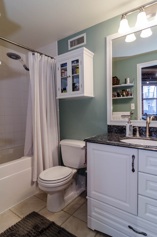 420 South Clinton Street, Unit 516 Chicago, IL 60607 - Photo 10 of 13