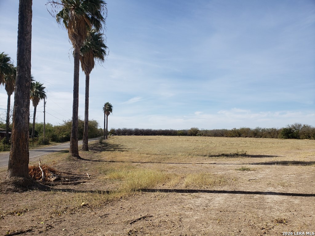 10.01-acres Abdala Road Quemado, TX 78832 - Photo 2 of 15