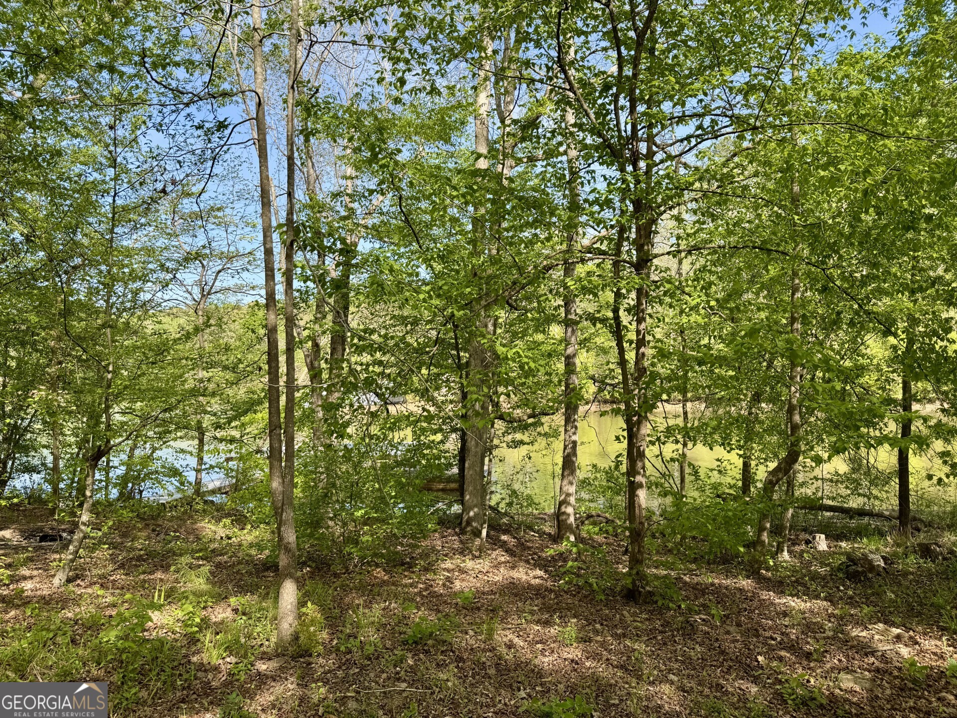 3719 County Road 88 Delta, AL 36258 - Photo 34 of 36 a view of a yard with large trees